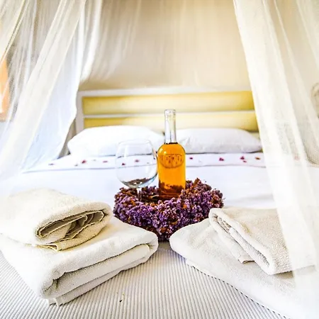 Grape Island Bozcaada Guest house 3*